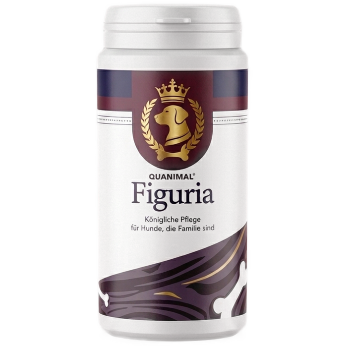 Figuria
