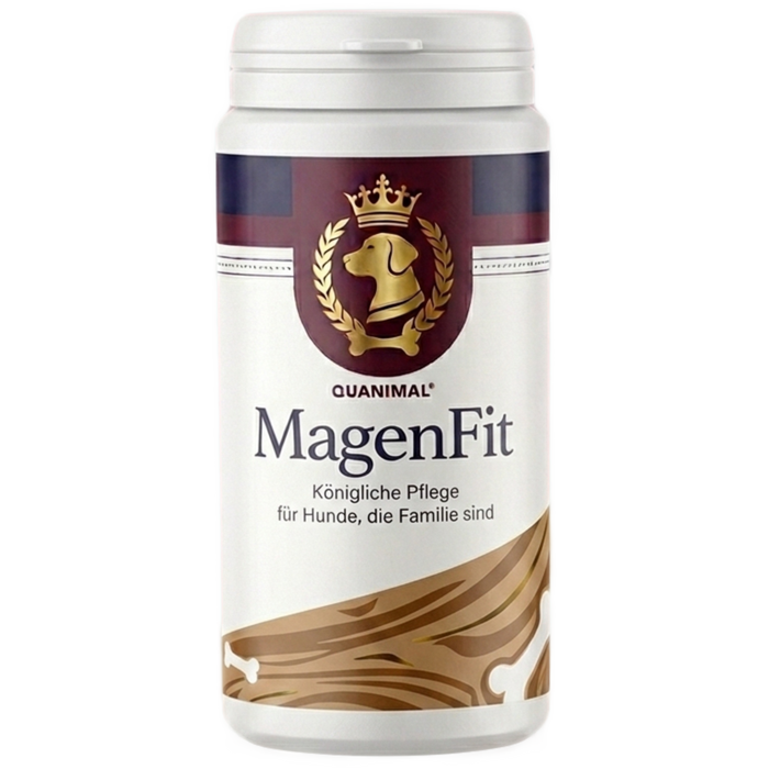 MagenFit