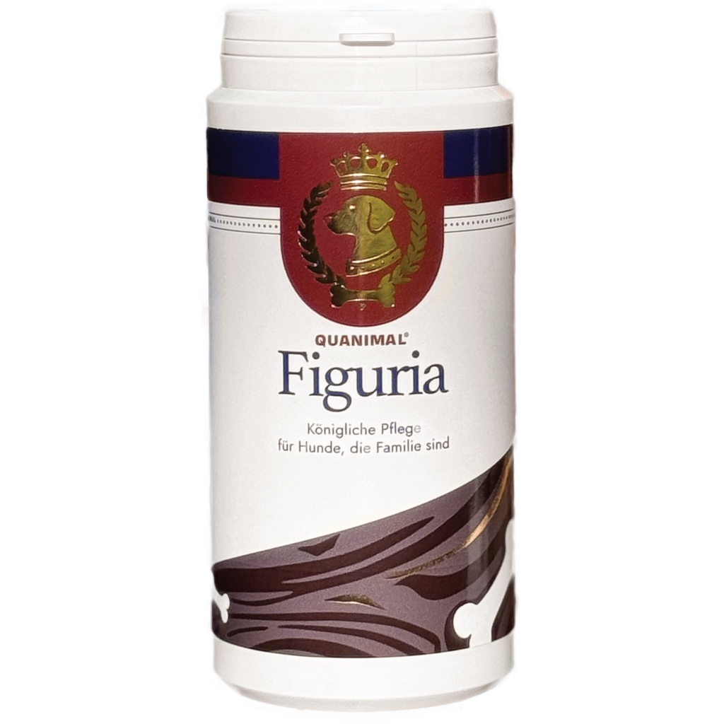 Figuria