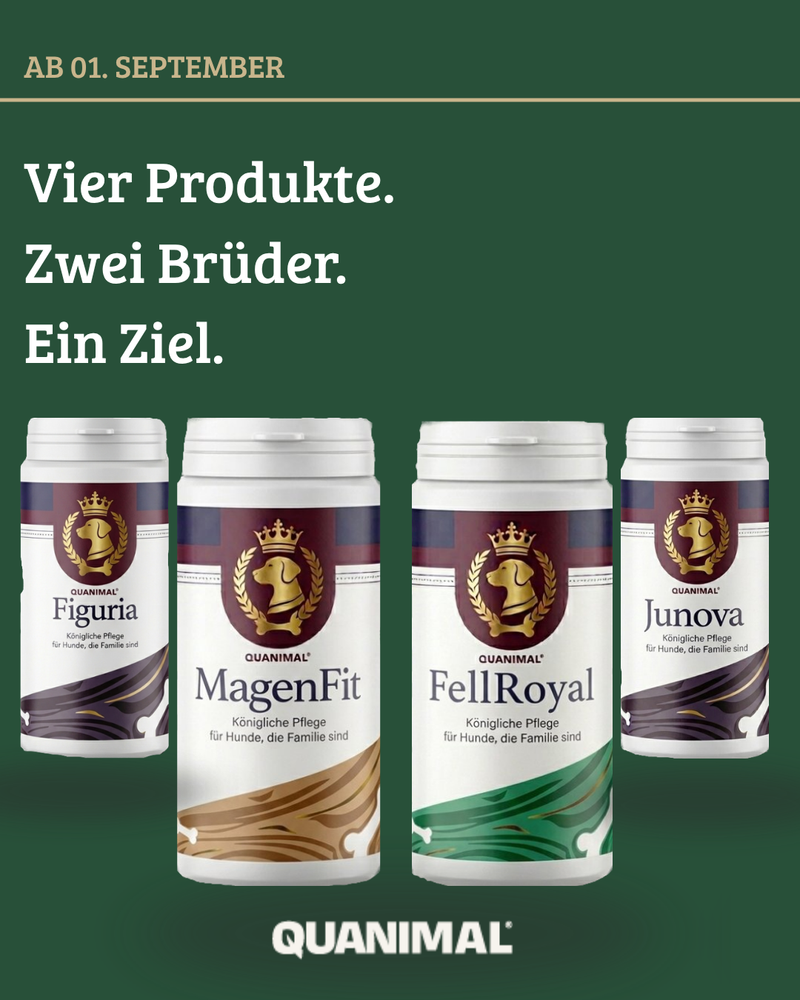 Instagram-Beitrag: Vier Produkte. Zwei Brueder. Ein Ziel.