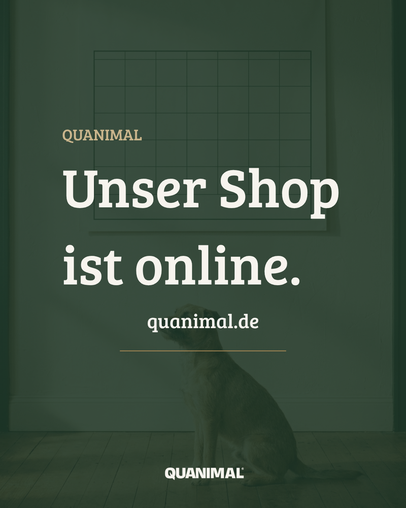 Instagram-Beitrag: Unser Shop ist online