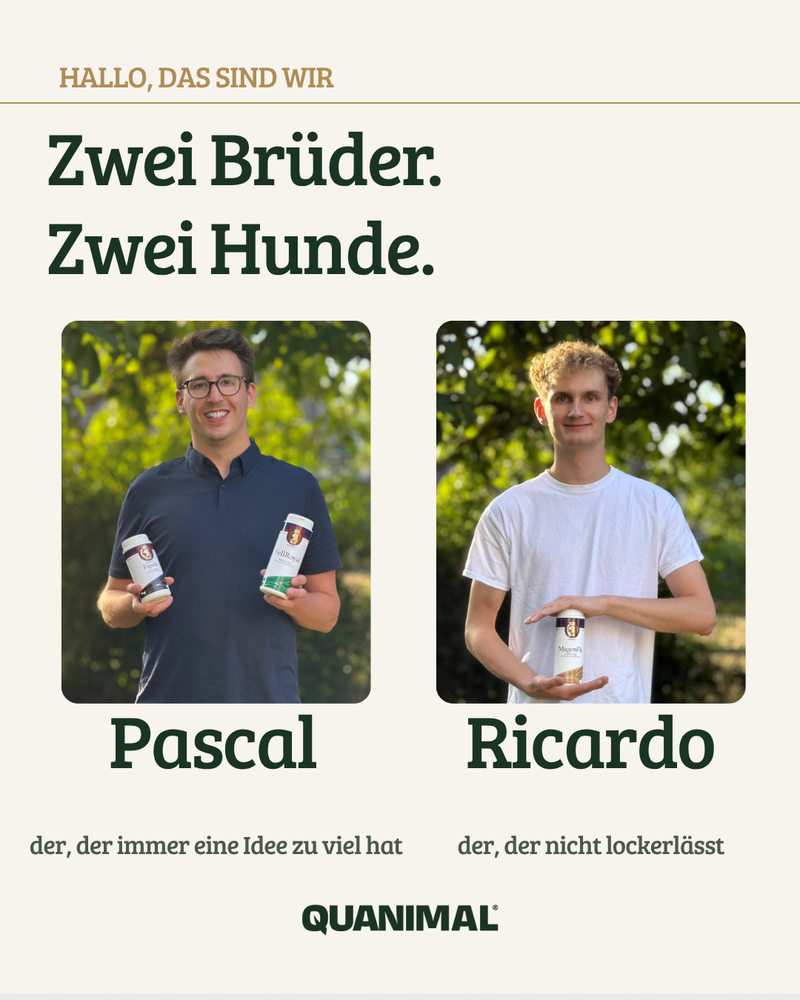 Instagram-Beitrag: Hallo, das sind wir - Pascal und Ricardo